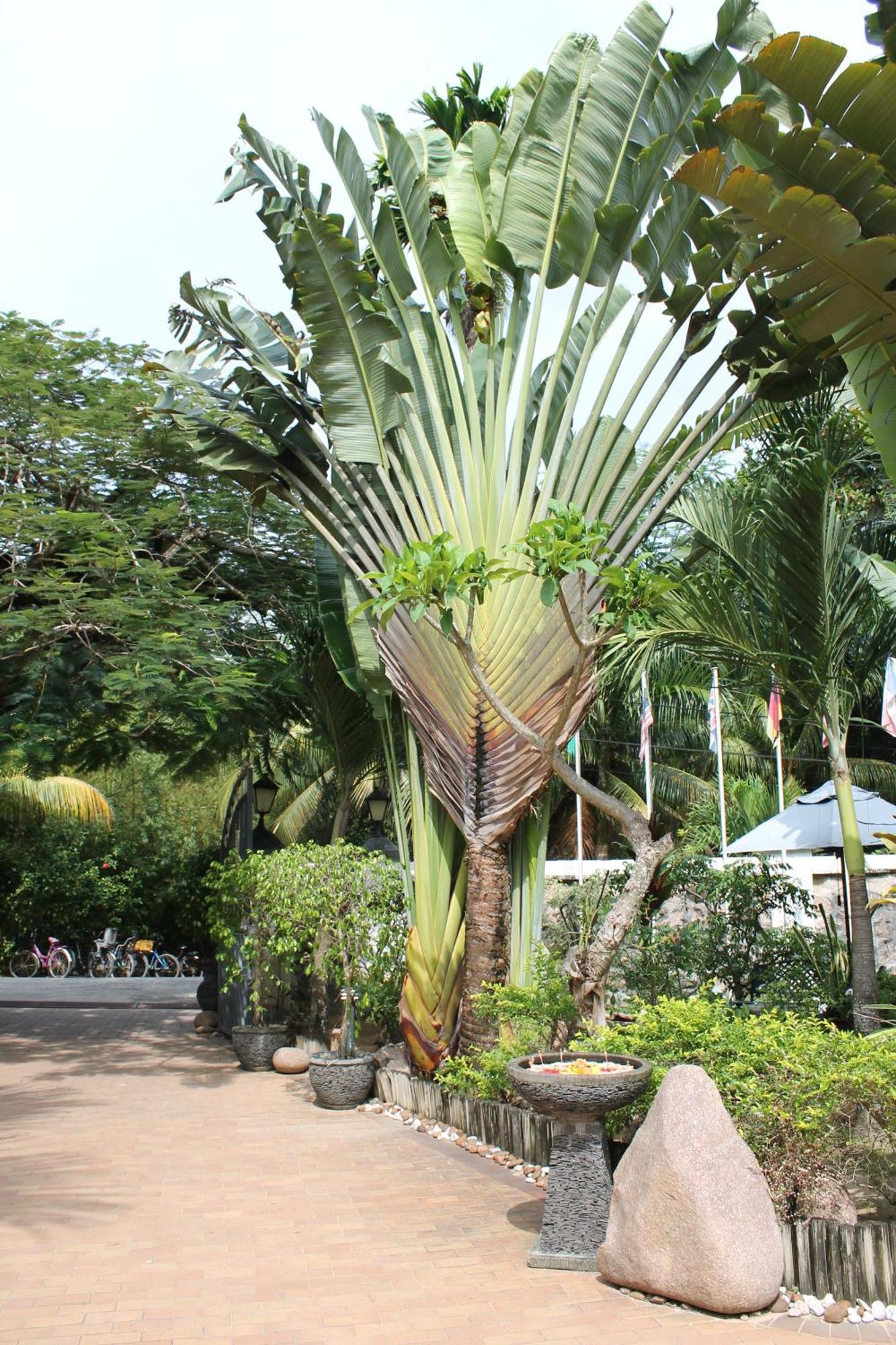 Hotel Chateau St Cloud La Digue Exterior foto